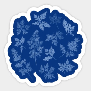 Herbal Blue Cynotype 01 Sticker